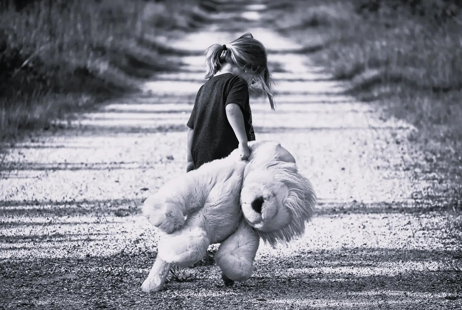 alimenty na dziecko adwokat Jelenia Góra